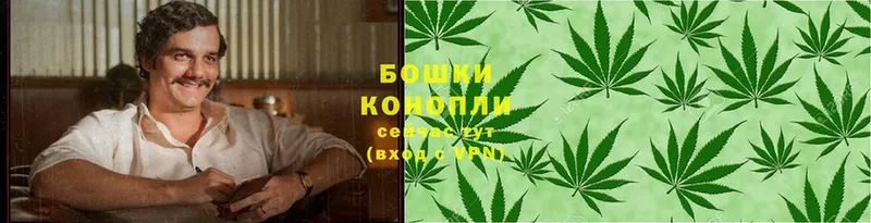 Бошки Шишки Ganja  купить наркотик  Бавлы 